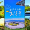 축구장 옆 화단 | 아이랑 가볼만한 곳 경북 예천 여행 회룡포 봄나들이 축제 2026 5월 봄꽃