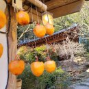 장수길 | 구례 쌍산재 관람 후기