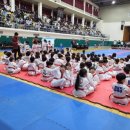 용인대 아름태권도 이미지