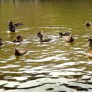 김포시노인종합복지관 이미지