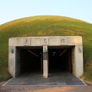 대릉원 Daum카페