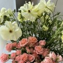 크로센트디자인