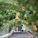 청양에너지 이미지