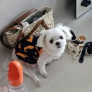 롯데쇼핑(주) 롯데마트 화명점 이미지