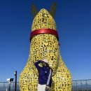 안지랑골관리소뒤 | 대구 앞산 전망대까지 평일 등산 왕복 후기