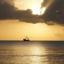 멍멍이집 이미지