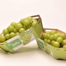 경북통상 농산물 산지유통센터 이미지