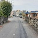 신성여자중학교 이미지