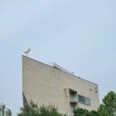 은평구 최초 현대미술관인 사비나 미술관 [4층 (페이퍼 아트로 만나는 멸종위기 새들의 초상)] &amp; [5층 루프탑 명상의 방] 이미지