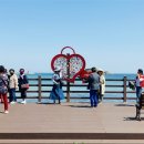 화진포 관광안내소 이미지