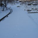 은색농장 이미지