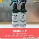 비앤엔 이미지