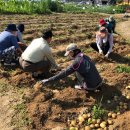 농업농장 이미지