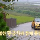 황금카 네이버블로그