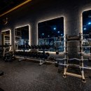 피그말리온짐 프리미엄 이미지