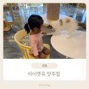 책카페 유 | 양주 갈만한곳 추천! 4살 아이와 다녀온 양주 고양이카페 아이캣유 후기