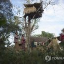 코끼리마을 이미지