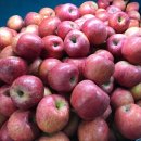 하이크린 이미지