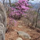 제49차 4월 정기산행 산청 왕산 이미지