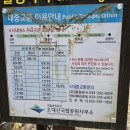 월정사주차장 화장실 이미지