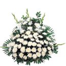 금정의 메아리 이미지