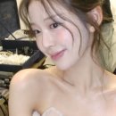 시그널결혼정보