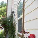 장미펜션 이미지