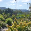 여촌농원펜션 이미지