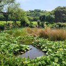 삿갓농장 이미지