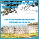 모항해수욕장 | 전라북도 부안 모항해수욕장 캠핑장 이용 후기
