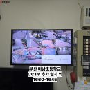 미남초등학교 이미지