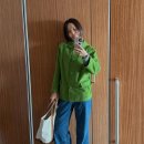 초록패션