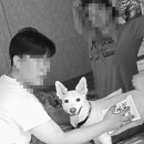 산골산내음 이미지
