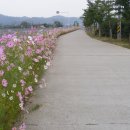 소월1리 이미지