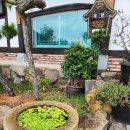 진도한옥목향민박 이미지