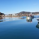 부용약국 이미지