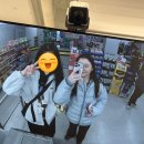 11590-나44-1 | 캐나다 워홀 D+43, 44) 영화 Hoppers | resume drop 후기