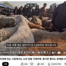 성채축산 이미지