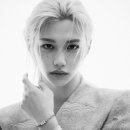 필릭스 카카오 검색결과