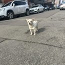 GS25 봉명리치점 이미지