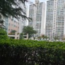 좌동산책길 이미지