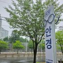 아이씨유비전케어 - 경산시 원효로 144 | 경산 영남대근처 안경점 ICU비전케어 위드렌즈 경산점(꼭 후기 읽어보세요)