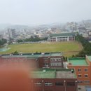 채움공인중개사사무소 이미지