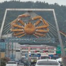 버드리식당 | 참으로 좋은 영덕