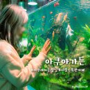 서울수족관 - 남원시 용성로 88 | 아쿠아가든 카페 잠실 롯데월드몰 서울 수족관 카페 촬영 후기