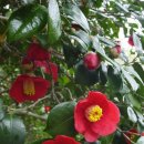 노화중학교 이미지