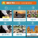 쉴만한 맑은물가 | [나트랑] 베트남 자유여행 가볼만한 곳 판랑사막투어 준비 예약 내돈내산 후기