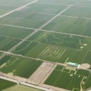 진봉농장 이미지