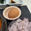 [스페인신혼여행 DAY5]만족스러웠던 세비야 한식당! Han&#39;s 한스 내돈내산 후기(추천 메뉴 있음)
