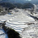 사포마을 이미지